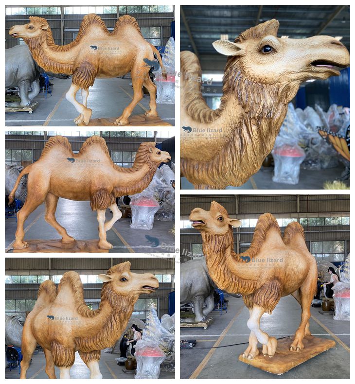 Camel