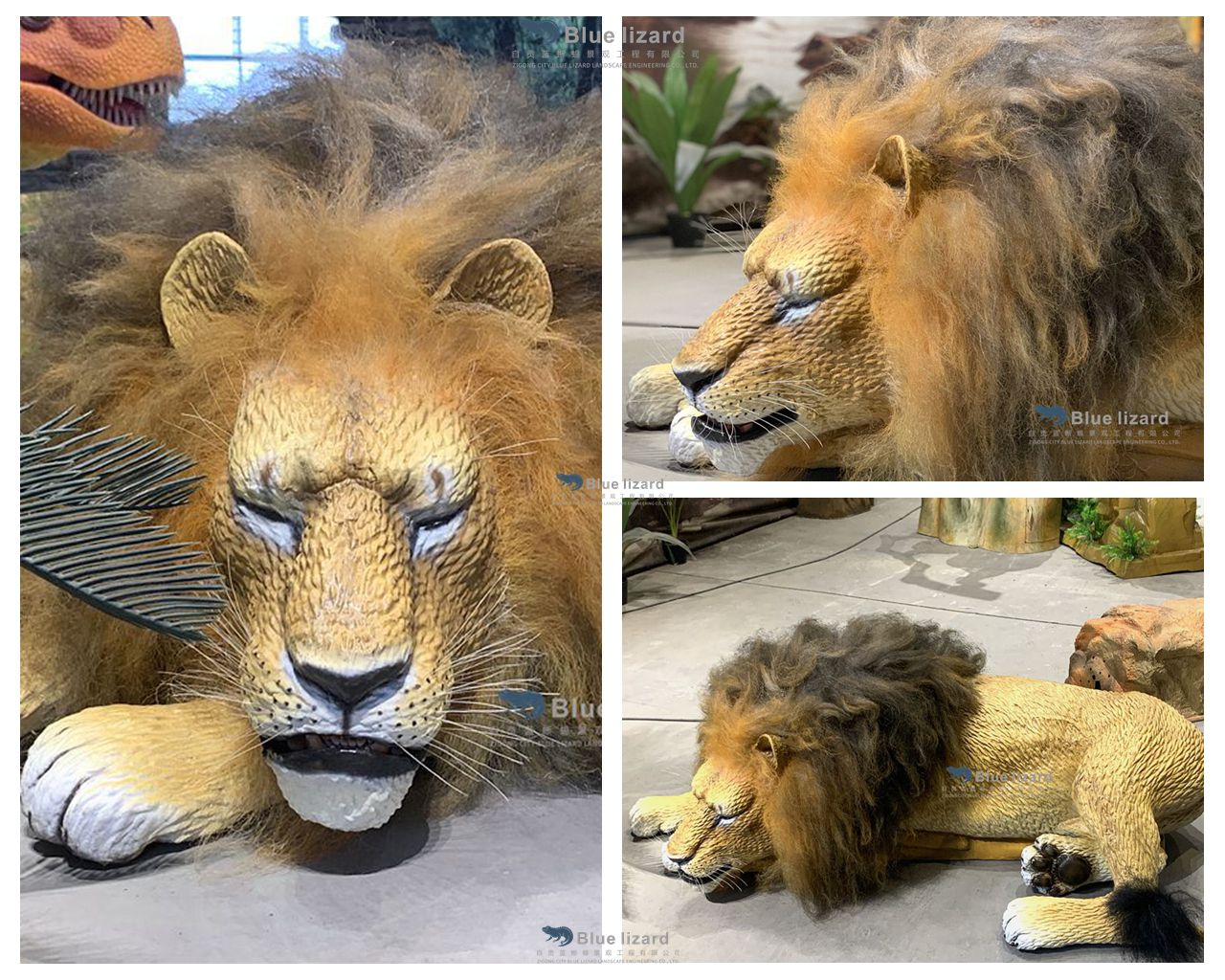 Dozing Lion