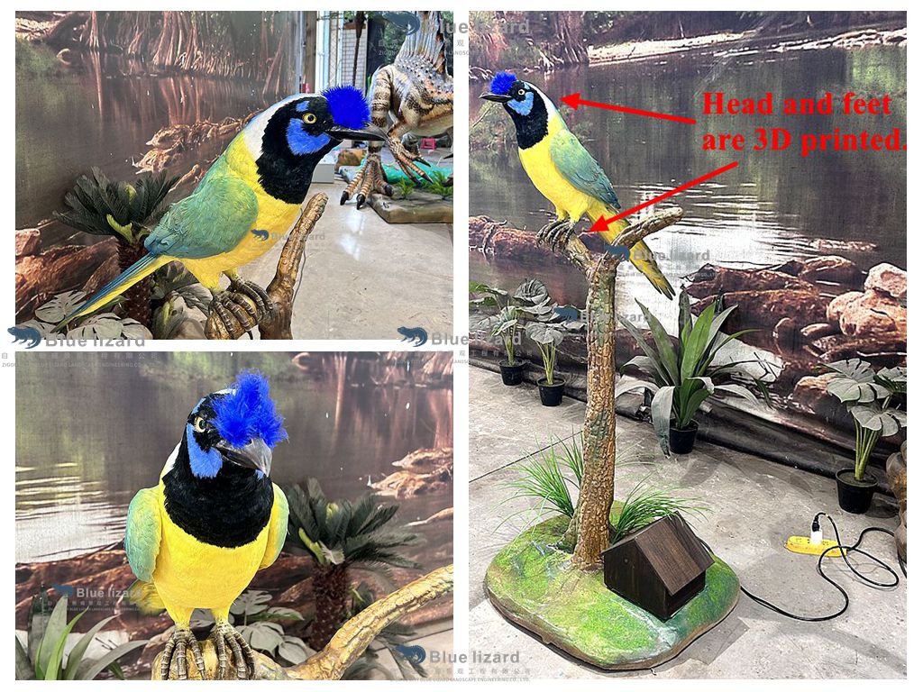Inca Jay