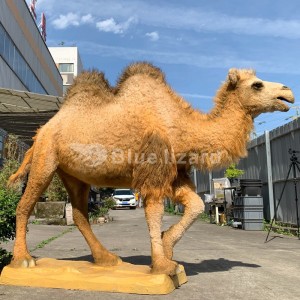 Simulated na mga modelo ng Camel Replicas