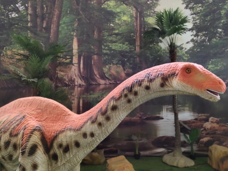 Melanorosaurus model