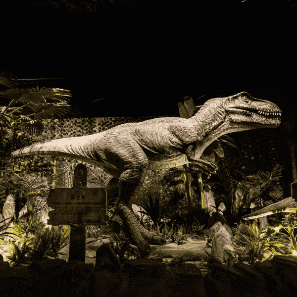 Ebe egwuregwu dị n'èzí Animatronik Robot Dinosaur T-Rex Head Park (6)