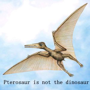 Ptérosaure de dinosaure volant animatronique