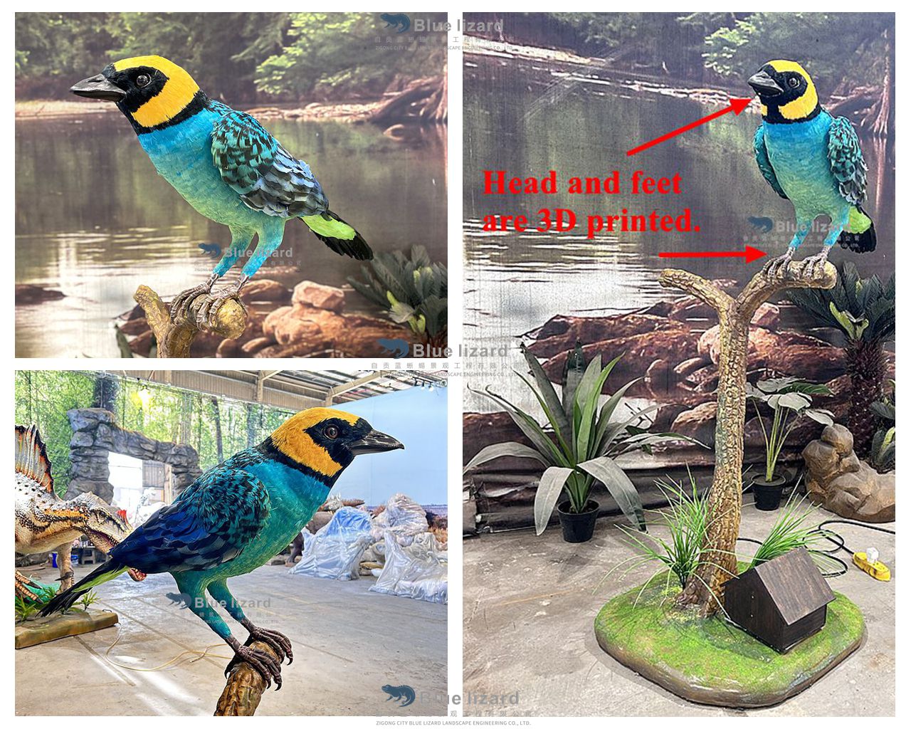 Saffron-crowned Tanager