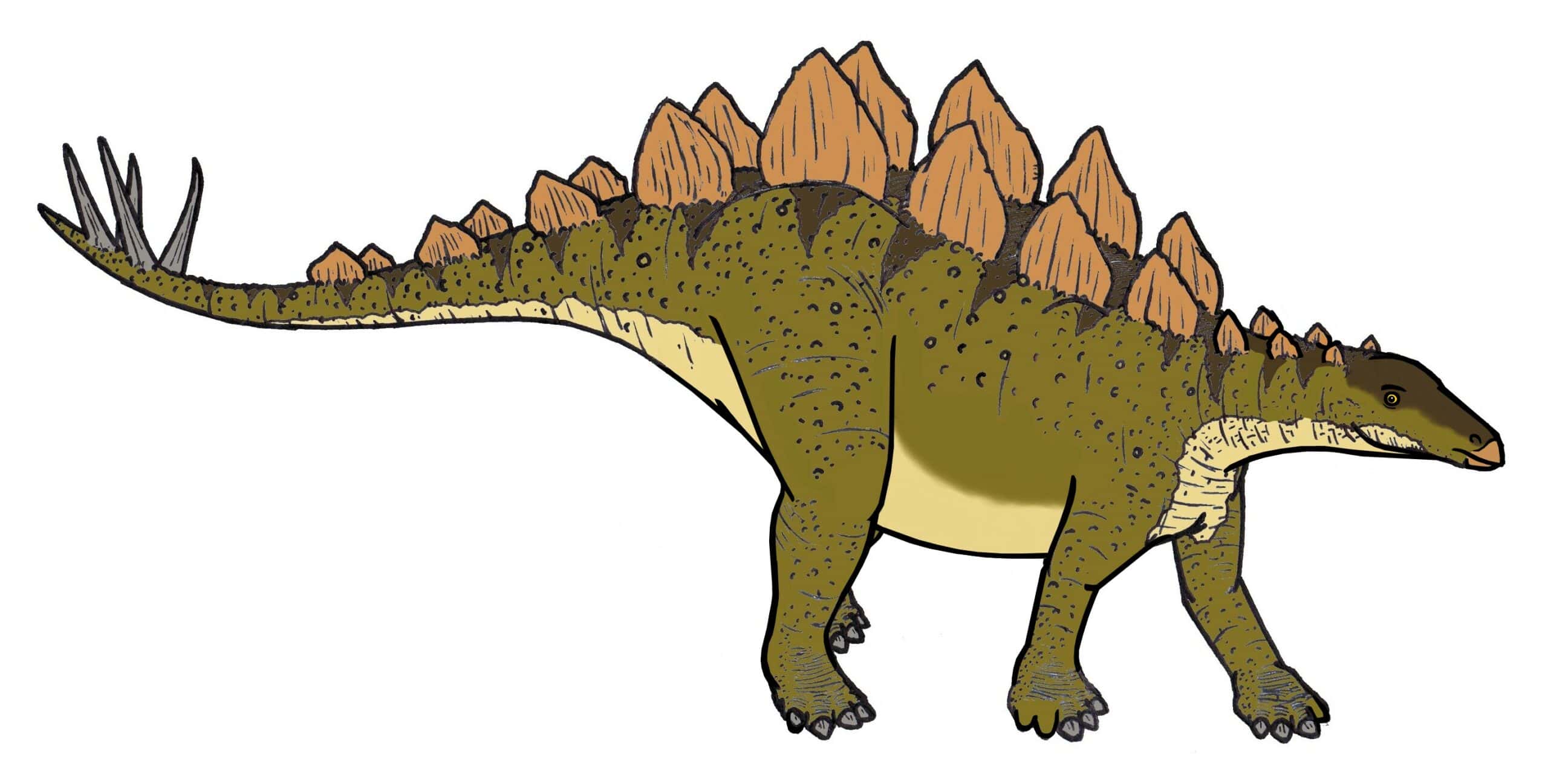 I-Stegosaurus