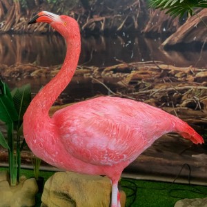 рисуване с фламинго