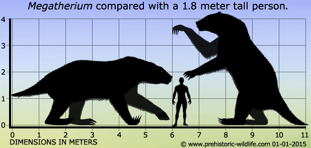 megatherium