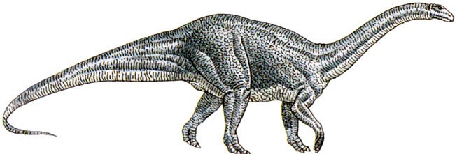 Меланоросаурус