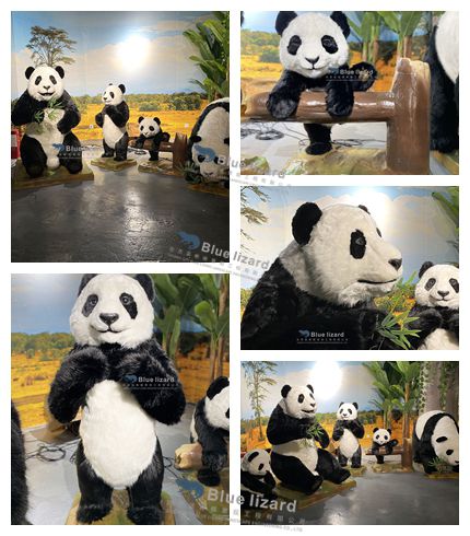 panda