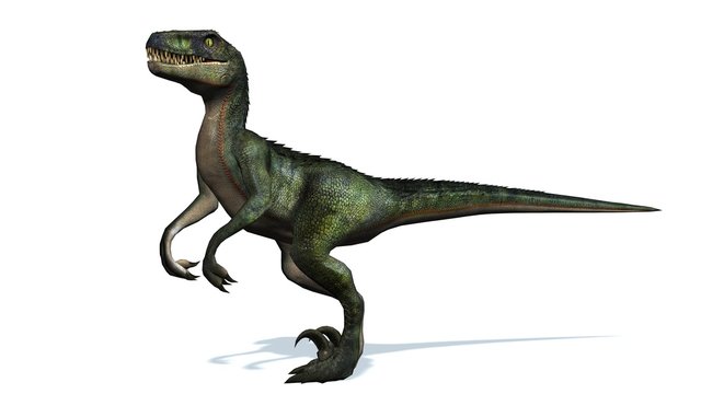 Girman Rayuwa na Gaskiya na Velociraptor Animatronic Dinosaur don Wurin Nishaɗi & Makaranta/ Gidan Wasa Wanda Jurassic Duniya Ya Ƙarfafa