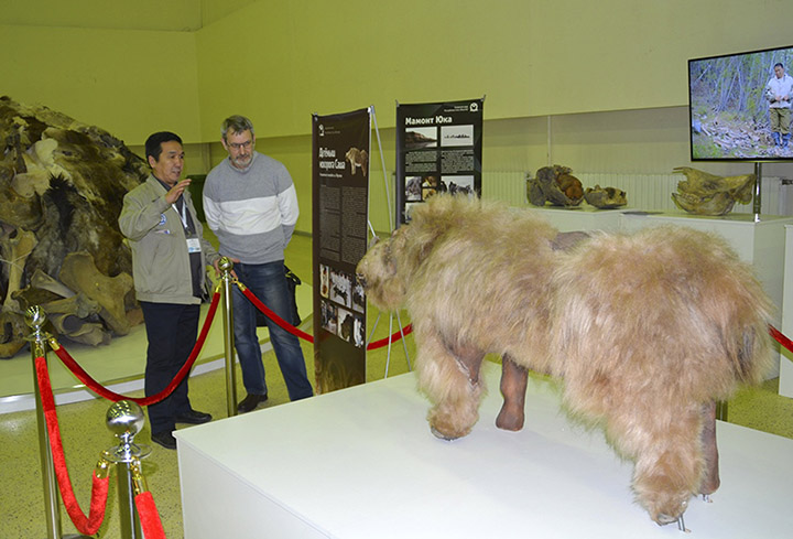 Sasha verdens eneste hellige neshorn