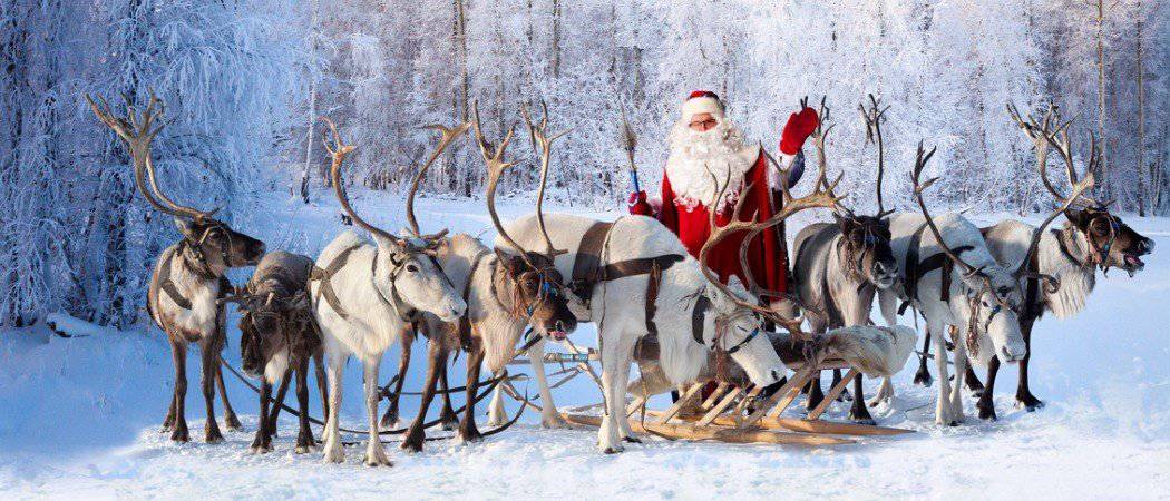 Christmas Reindeer model
