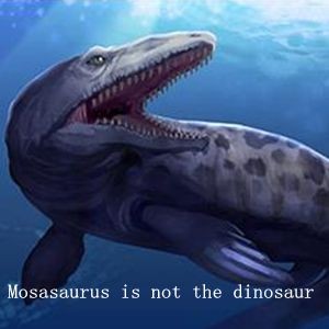 Mosasaurus