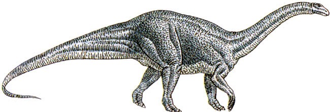 Melanorosaurus