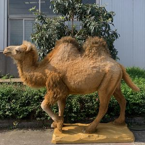painting-camel